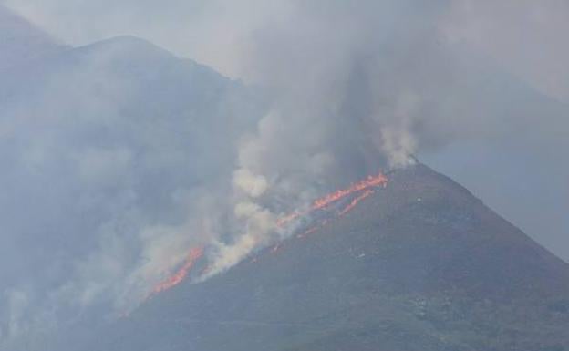 Incendio de la Tebaida.