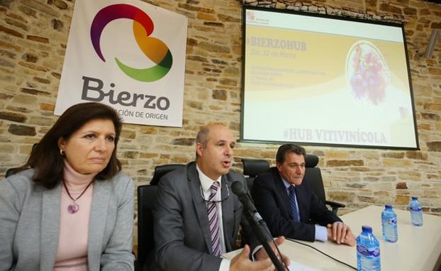 El viceconsejero de Desarrollo Rural, Jorge Llorente (C), junto a la presidenta de la DO Bierzo, Misericordia Bello, y el Jefe del Servicio de Agricultura de la Junta en León, Fidentino Reyero (D), en la inaguración del 'Bierso Hub Vitivinícola'./César Sánchez