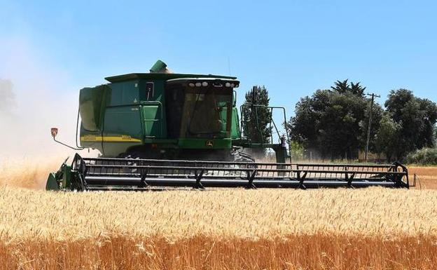 Agricultura impulsa la creación de mercados locales y la divulgación de la producción ecológica
