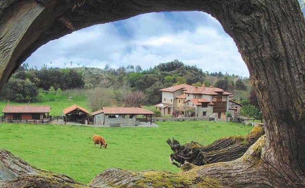 El turismo rural repunta en la provincia./