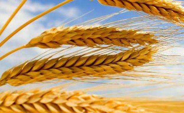 Fgulem programa una jornada de transferencia de conocimiento en el sector agroalimentario