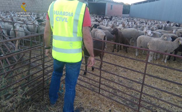 Efectivos de la Guardia Civil durante una operación del equipo Roca./