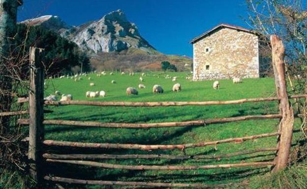 El turismo rural se desploma./