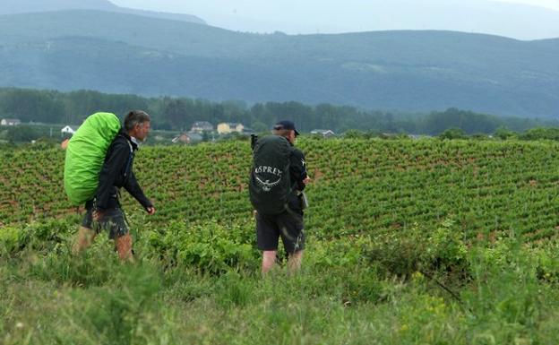 El IES Bergidum Flavium de Cacabelos pone en marcha la segunda edición del programa de información al peregrino