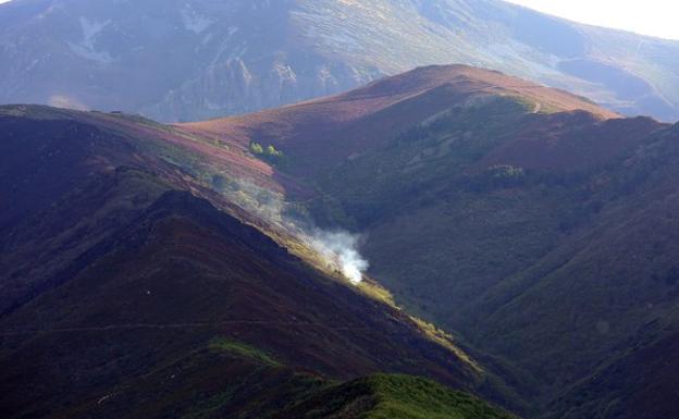 Una subasta de arte recaudará fondos para reforestar las zonas afectadas por el incendio de la Tebaida