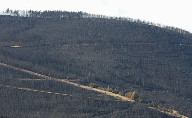 El fuego arrasa en el Bierzo desde el año 2000 más de 68.000 hectáreas con 15 grandes incendios