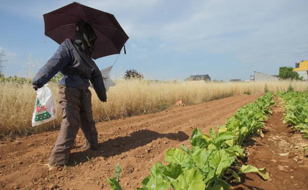 PeC insta al equipo de gobierno a luchar por el sector agroalimentario como motor de desarrollo