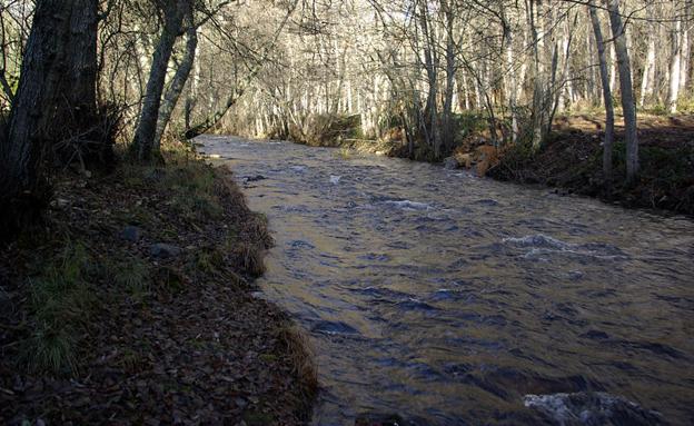 El Ministerio de Medio Ambiente rechaza instalar una central en el río Ancares por el impacto ambiental en la Reserva