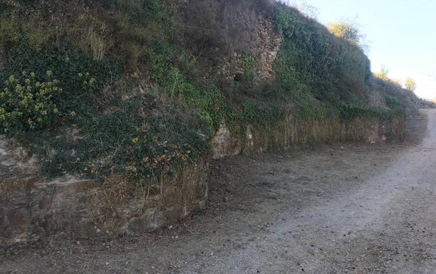 Cs reclama más atención para el yacimiento de Castro Ventosa por ante el «flagrante abandono» de las administraciones