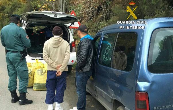 Detenidos dos bercianos por el robo de 6.500 kilos de castañas en la cooperativa Gistredo de Noceda