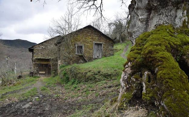 Priaranza organiza una conferencia sobre 'El Bierzo rural y urbano en la Época Medieval'