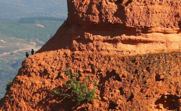 Medio Natural otorga una ayuda de 43.000 euros a la zona de influencia de Las Médulas