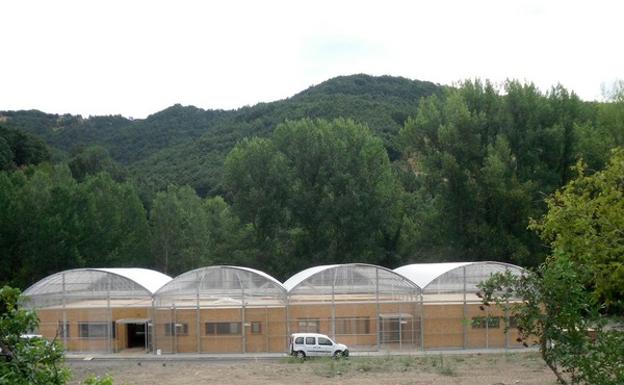 El vivero de Ciuden recibe más de 585.000 euros para dos proyectos de restauración ambiental y paisajística