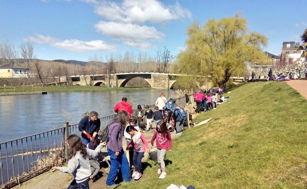 Cacabelos celebra el Día de los Bosques con la plantación de árboles autóctonos en la playa fluvial