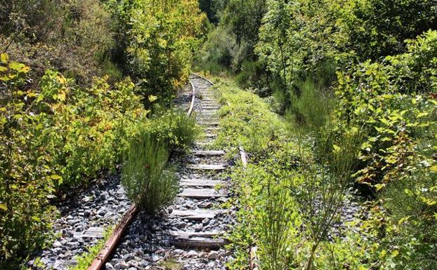 El Consejo prioriza la recuperación del tren turístico pero cree que puede ser compatible con la vía verde