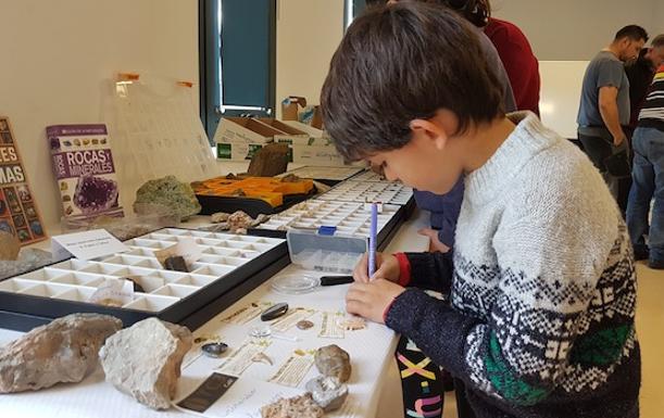 LOCOS POR LAS PIEDRAS