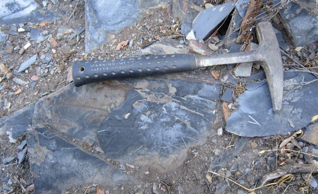 CB lamenta que mientras El Prado expone graptolitos de Salas se permita la destrucción del yacimiento