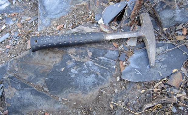 El PSOE pregunta en las Cortes por el yacimiento paleontológico de Salas de la Ribera