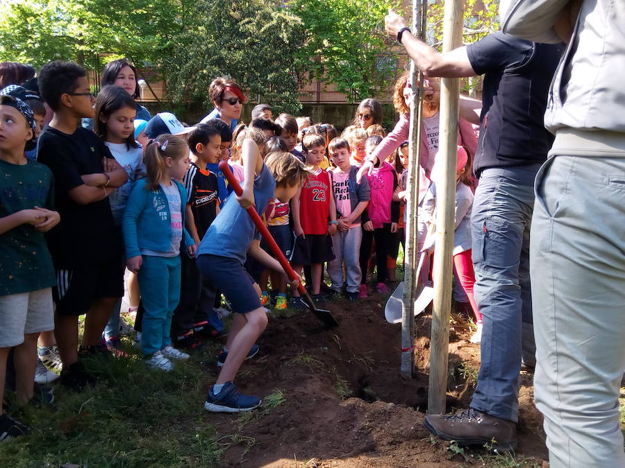 Plantación de árboles en el colegio Peñalba de Ponferrada
