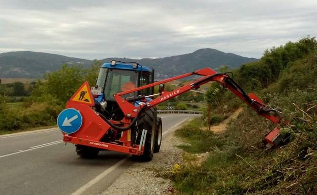 La Junta inicia la limpieza de la LE-713 para acotar la proliferación de conejos en el Bierzo