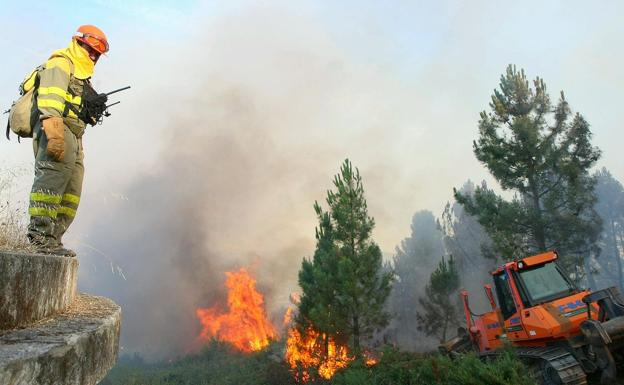 El elevado incremento de las temperaturas activada la alerta por riesgo de incendios forestales en León