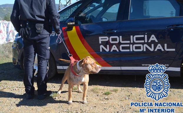 La Policía Nacional retoma mañana en Molinaseca la búsqueda del anciano desaparecido hace casi tres meses en Ponferrada