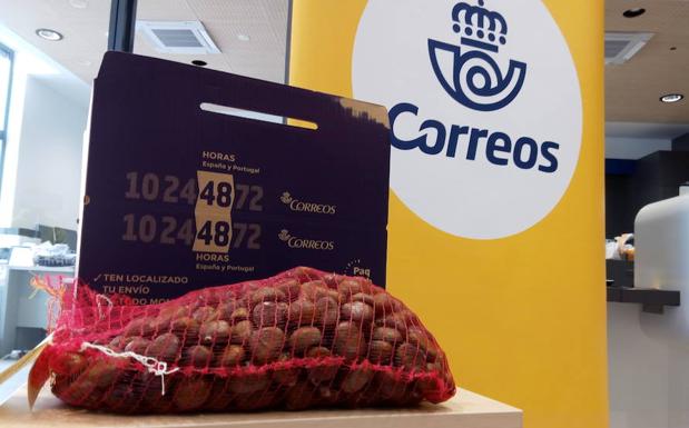 Más de siete toneladas de castañas del Bierzo ya han viajado con Correos con el servicio especial de envíos