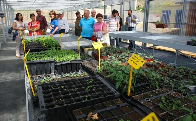El vivero de Ciuden en Igüeña entrega mañana los 18 diplomas a los alumnos del taller de empleo Colinas