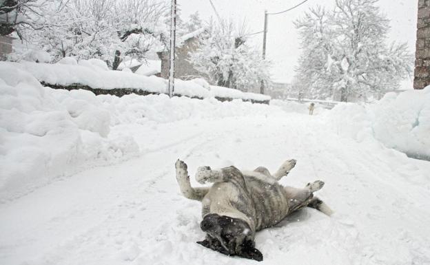 El efecto de la nieve aún se sigue notando en la zona norte de la provincia de León