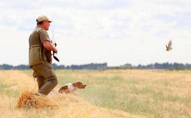 El TSJCyL suspende cautelarmente el decreto sobre conservación de especies cinegéticas tras la petición del Pacma