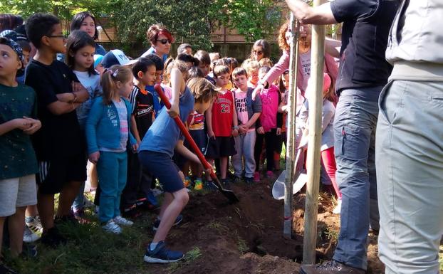 Estudiantes del IES Gil y Carrasco participan mañana en la plantación de 200 árboles en el monte Pajariel de Ponferrada