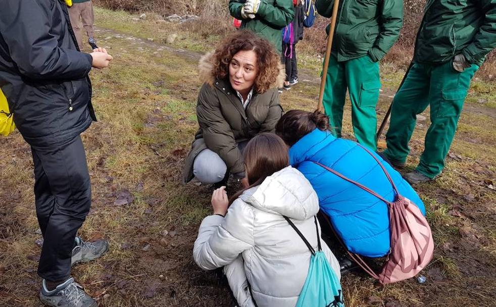 Nueva savia para el Pajariel