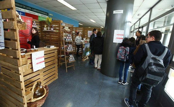 Jornadas de Emprendimiento para el desarrollo territorial de Secot en Ponferrada