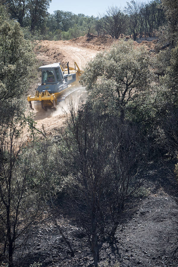Colectivos ecologistas creen una amenaza la apertura de una pista forestal en la Sierra de la Lastra