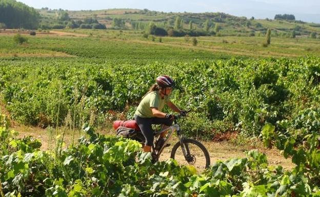 Bierzo Enoturismo suma 5 nuevas empresas y ya supera los 80 socios
