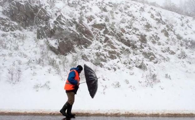 Rachas de viento de hasta 80km/h ponen en alerta amarilla a toda la provincia