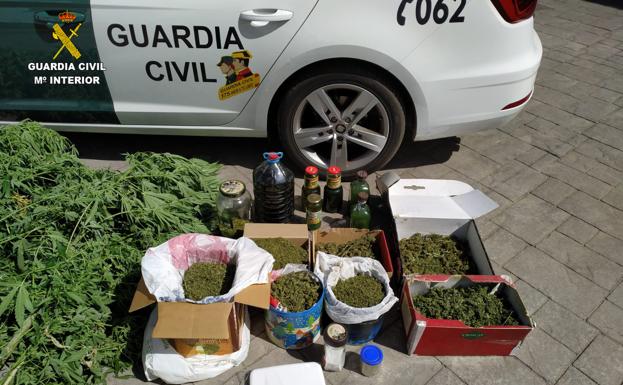 La Guardia Civil desmantela un punto de cultivo de marihuana en Cacabelos y detiene e investiga a dos personas