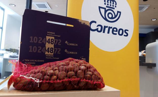 Diez toneladas de castañas viajan desde el Bierzo a distintos puntos de la península durante el primer mes de la campaña de Correos