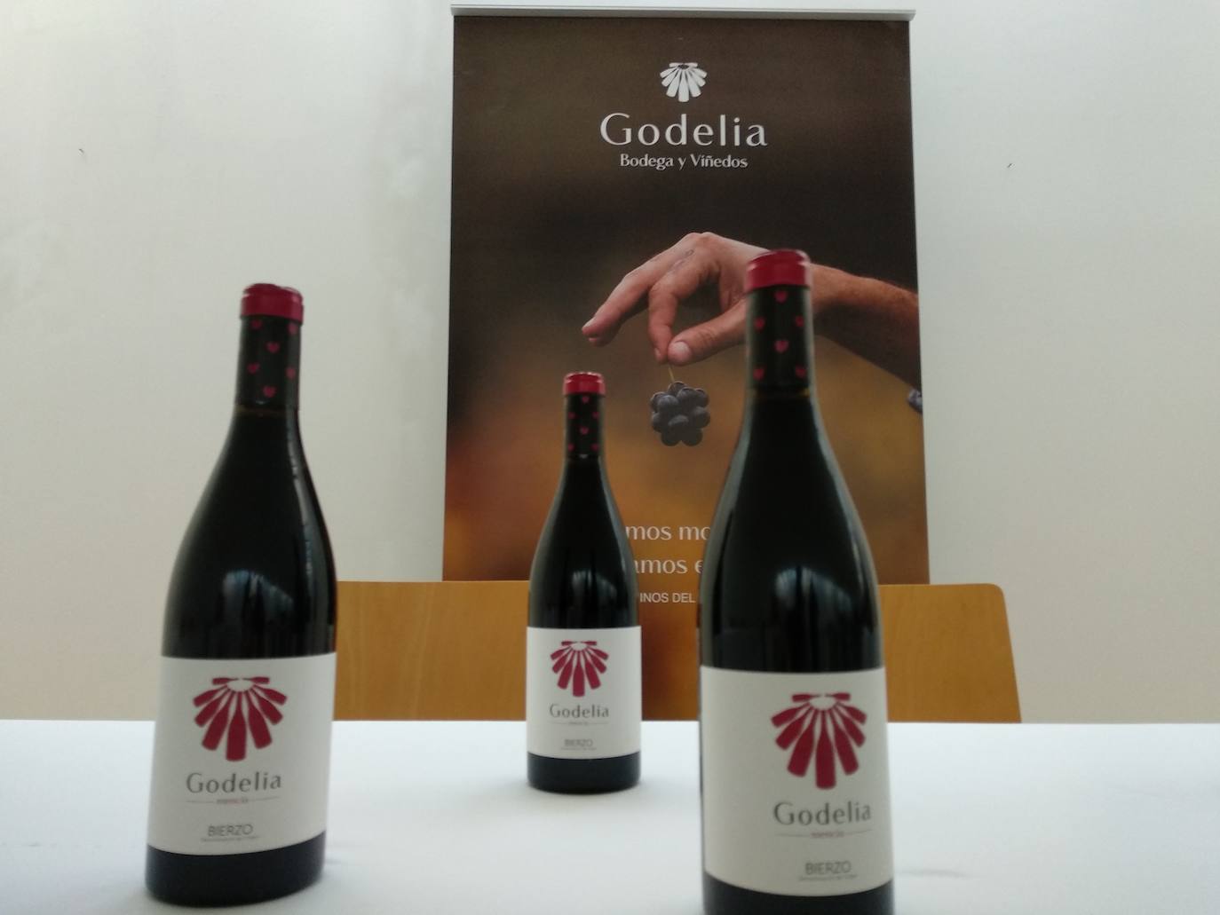 I Jornada de Emprendimiento y Viticultura en Ponferrada