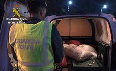Investigadas 22 personas por la sustracción de castañas durante la campaña de recogida en El Bierzo