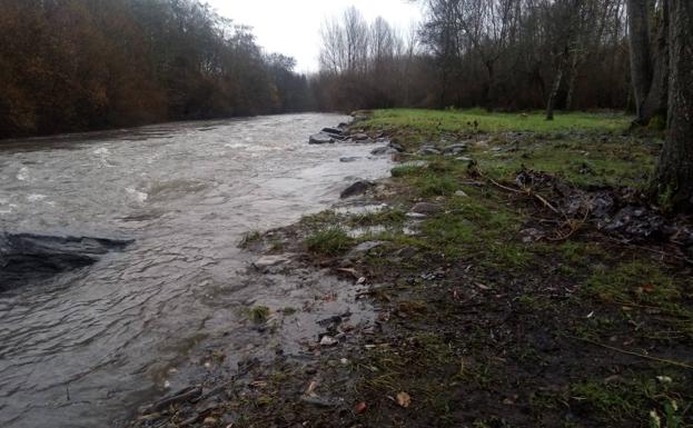 Ciudadanos Cacabelos advierte del riesgo de inundación en el parque y los cultivos de la pedanía de la Arborbuena