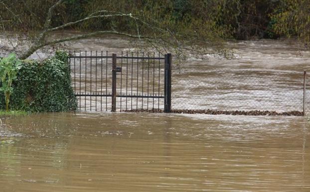 Prohibida la entrada a paseos y zonas inundables por la crecida de los ríos Sil y Boeza en Ponferrada