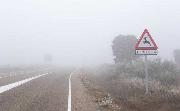 La niebla complica la circulación en varios tramos de carreteras de León