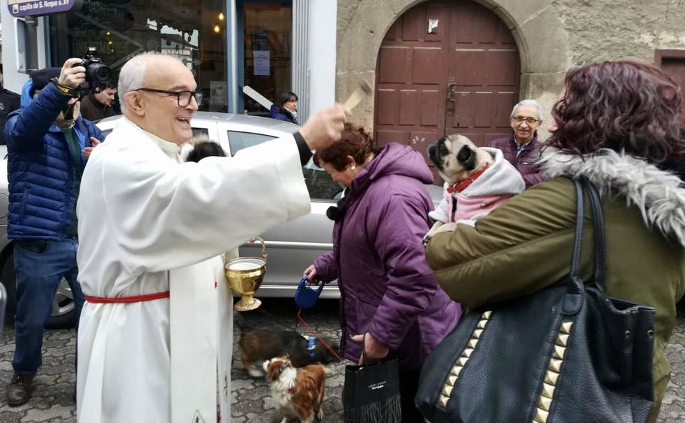 Animales, ¡qué bendición!