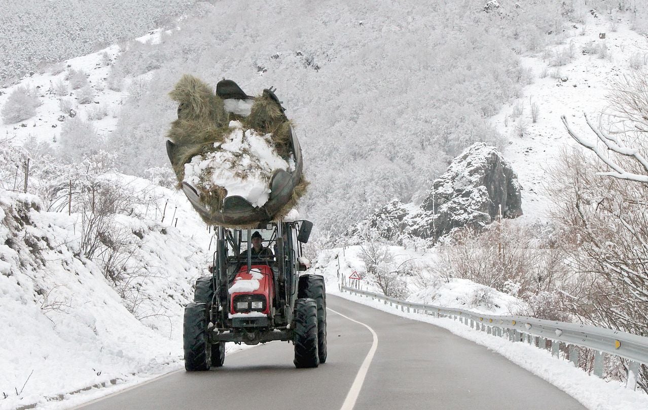 La nieve regresa a León con previsión de hasta ocho centímetros en zonas de montaña