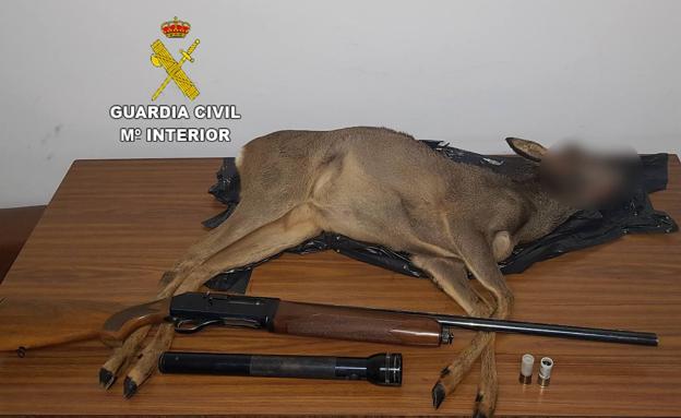 La Guardia Civil sorprende a una persona en Fresnedo con un corzo abatido de manera ilegal