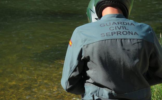 El Seprona identifica a un pescador en el río Burbia durante el estado de alarma