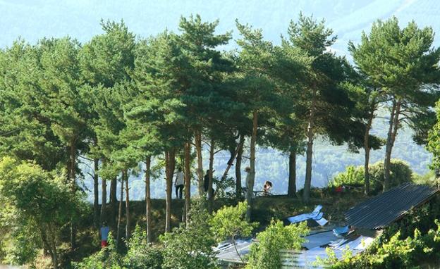 El Campus de Ponferrada destaca al sector forestal como actividad esencial durante la crisis del Covid-19