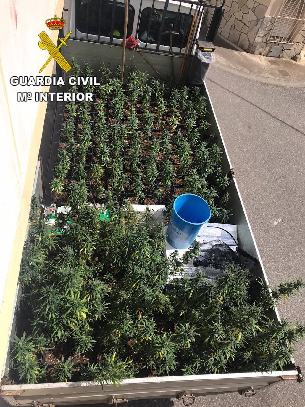 La Guardia Civil detiene a tres personas y desmantela una plantación 'indoor' de marihuana en San Miguel de las Dueñas