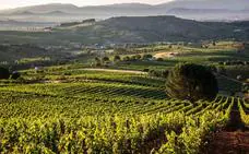 'Casar de Burbia' celebra el éxito de sus vinos en la Guía Peñín 2021